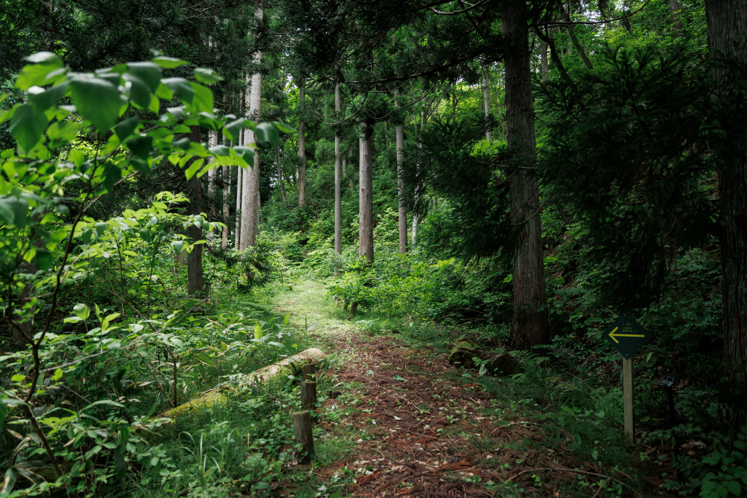 季古里周辺の観光案内
